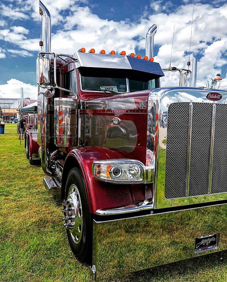 DPF Emulators for Trucks PETERBIT
